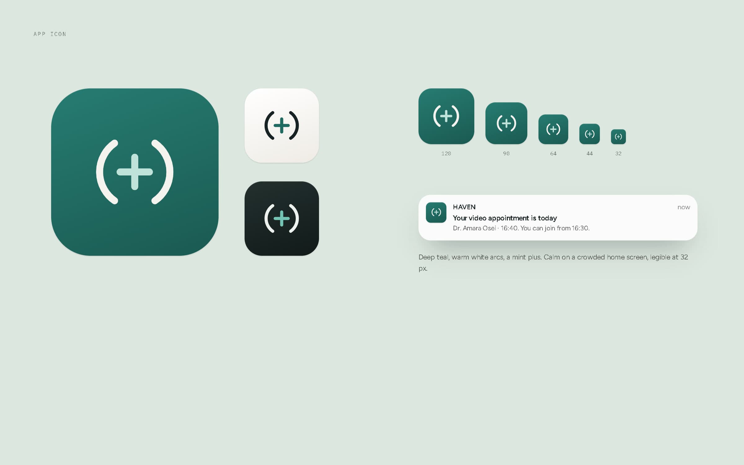 The HAVEN app icon in three colourways and five sizes, with a notification reading 'Your video appointment is today'.