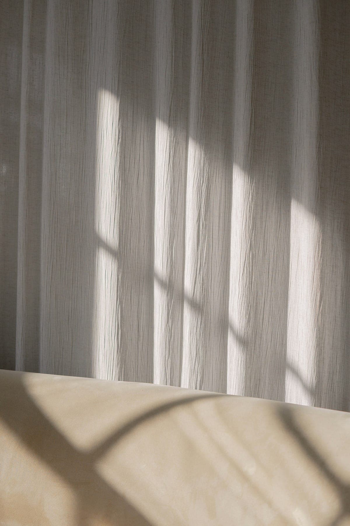 Afternoon light filtered through a sheer linen curtain.